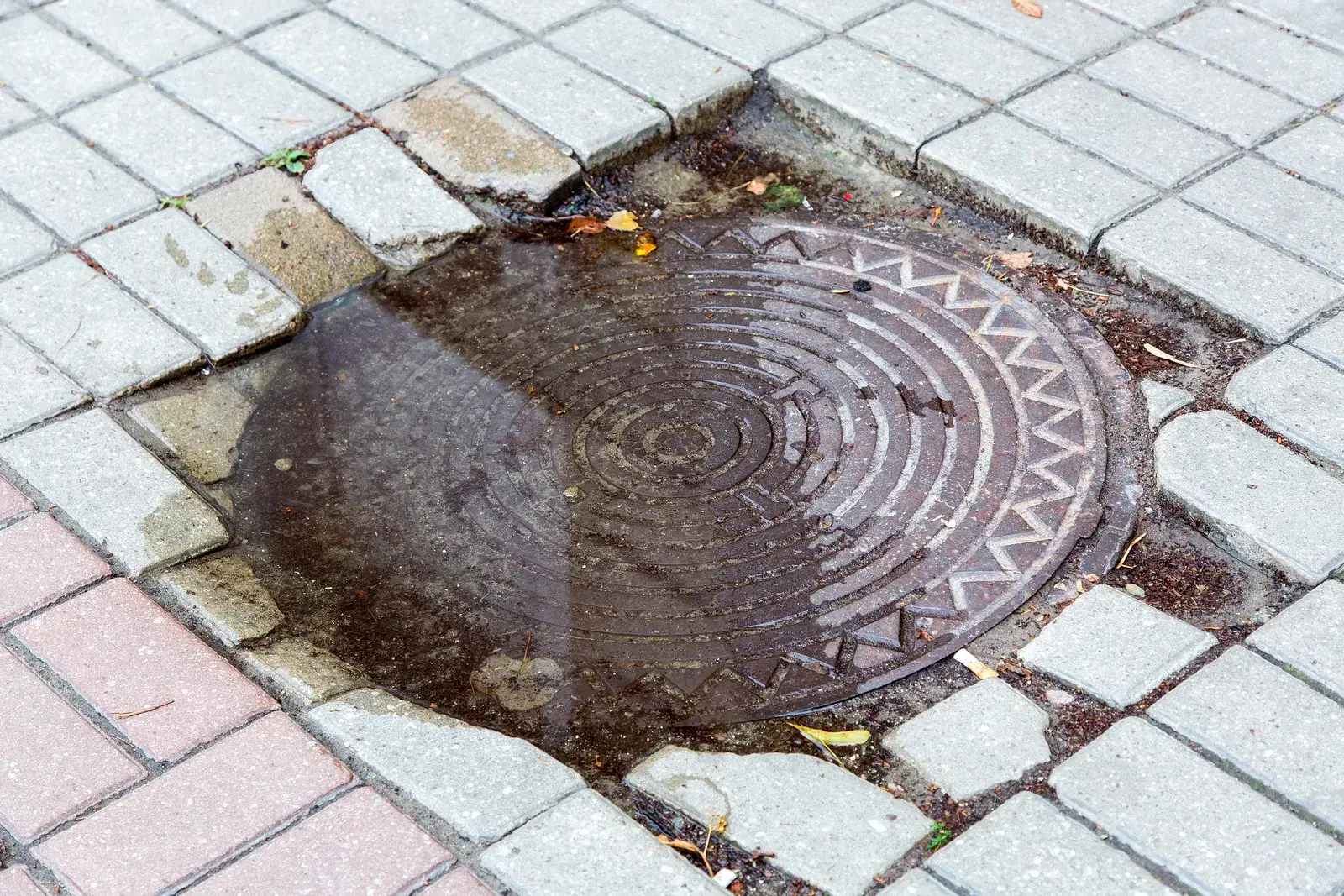 Water pooled around a cast-iron drain cover set into brick paving